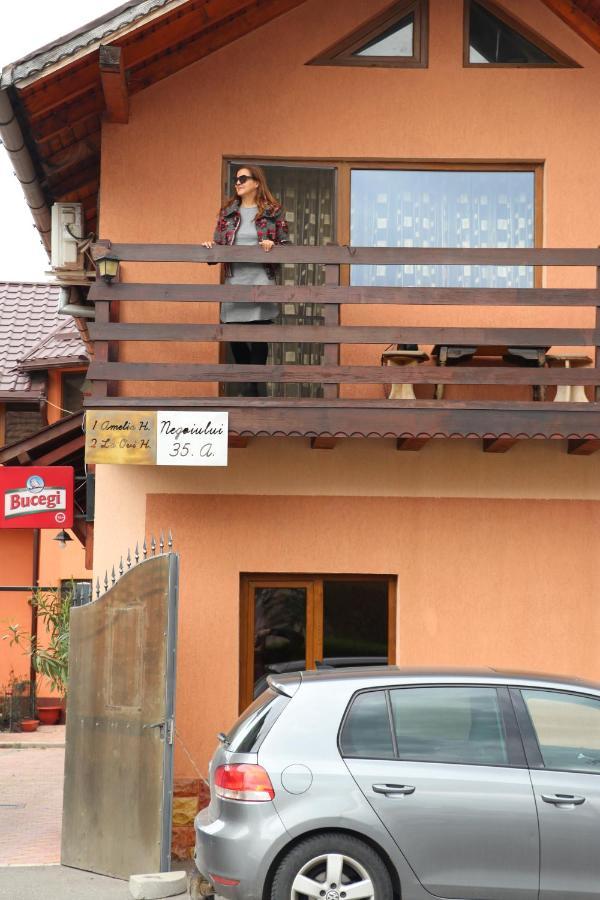 Amelia House Fagaras Exterior foto